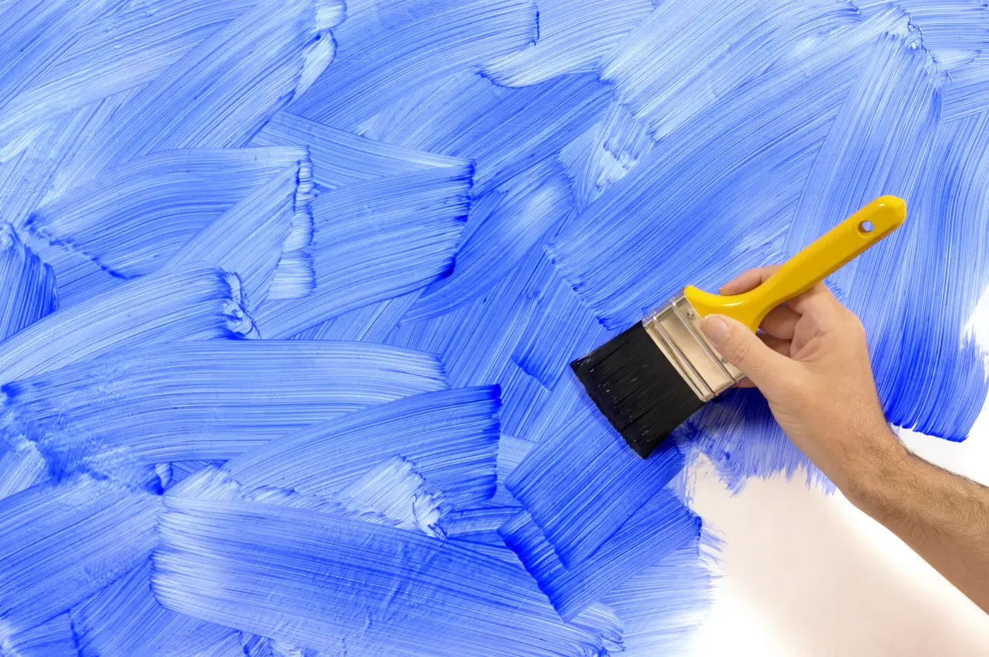 Professional blue wall painting by Rovina Painting Adelaide